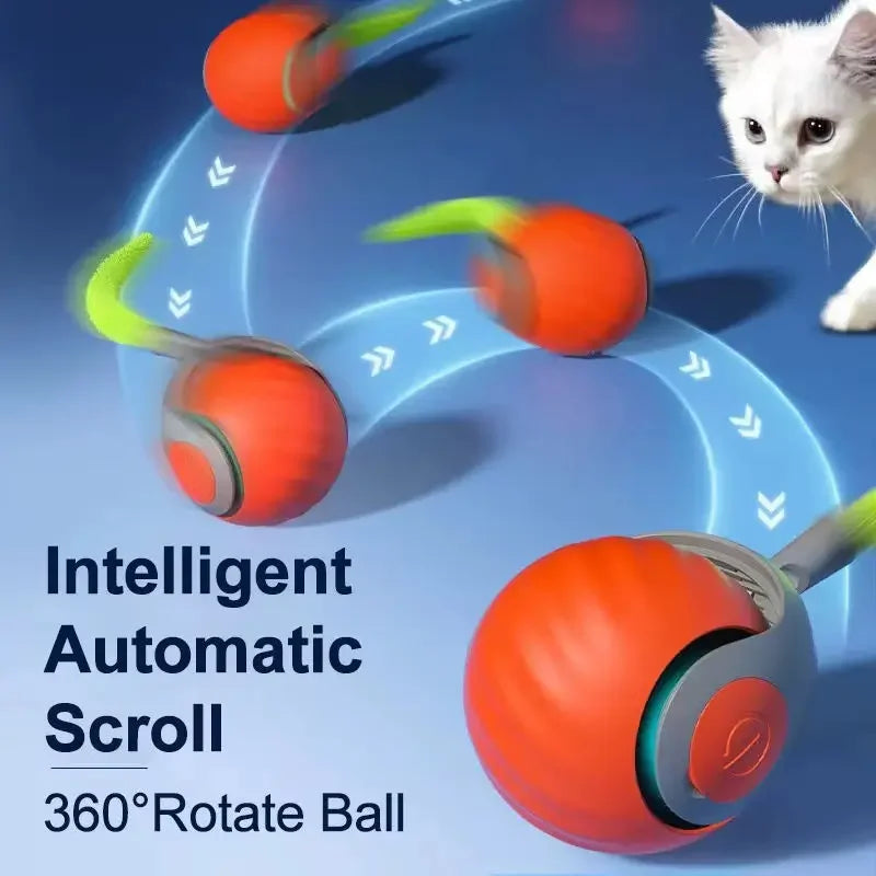 Pet attractive force bouncing ball dog attractive cat toy ball