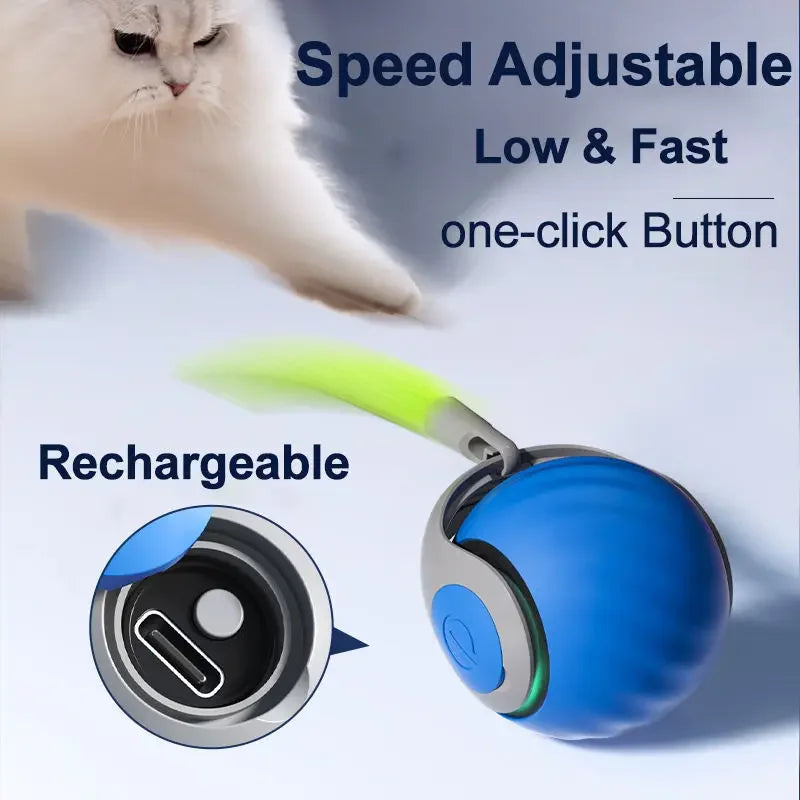 Pet attractive force bouncing ball dog attractive cat toy ball