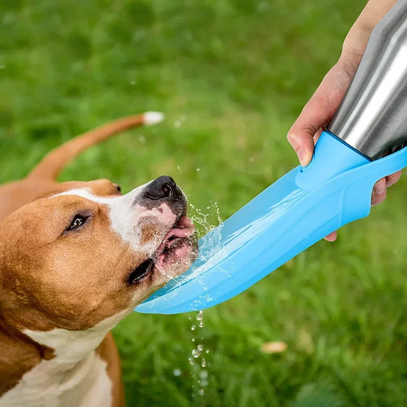 Large Dog Water Bottle with Portable Bowl