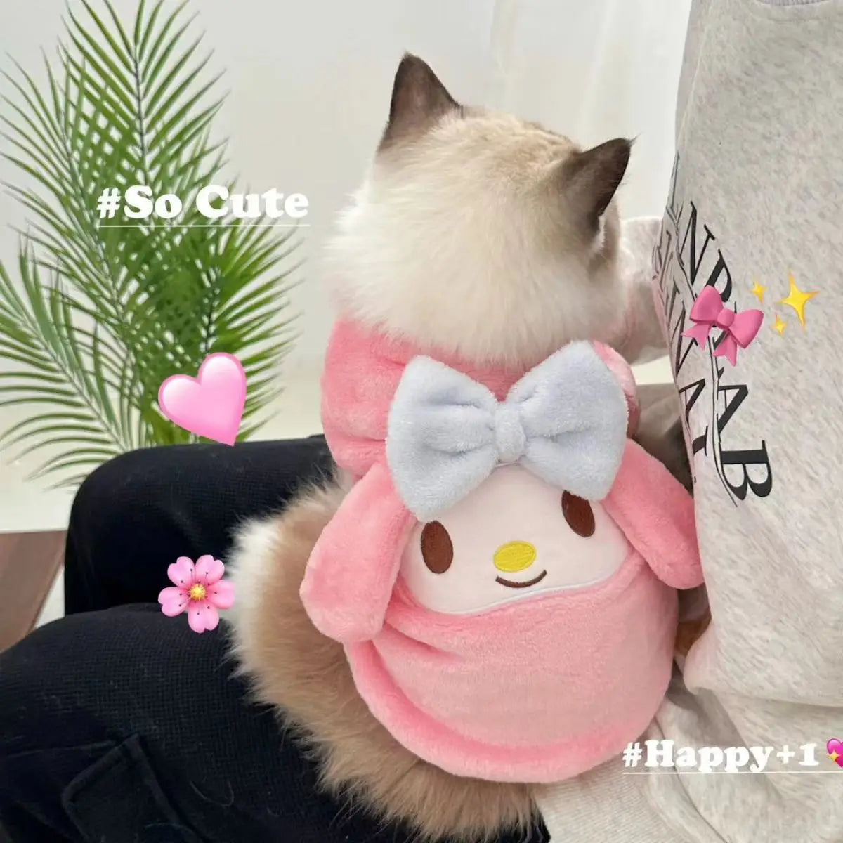 Hello Kitty Pet Dogs Cats Winter Keep Warm Plus Velvet Thicken Cute Small Clothes Prevent Hair Loss Plush Vest Small Puppies